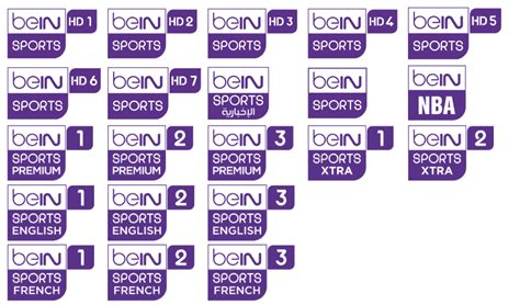 buy chanel beinsports|bein sports tv channel.